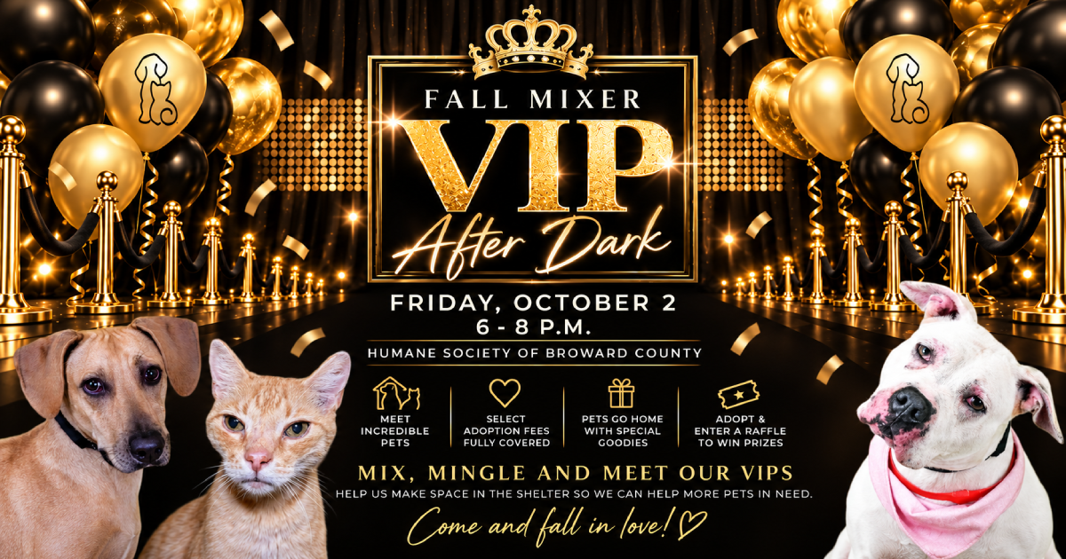 Fall Mixer - VIP After Dark
