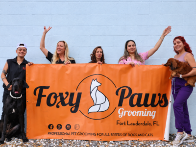 Foxy Paws - Dog Groomers - Fort Lauderdale