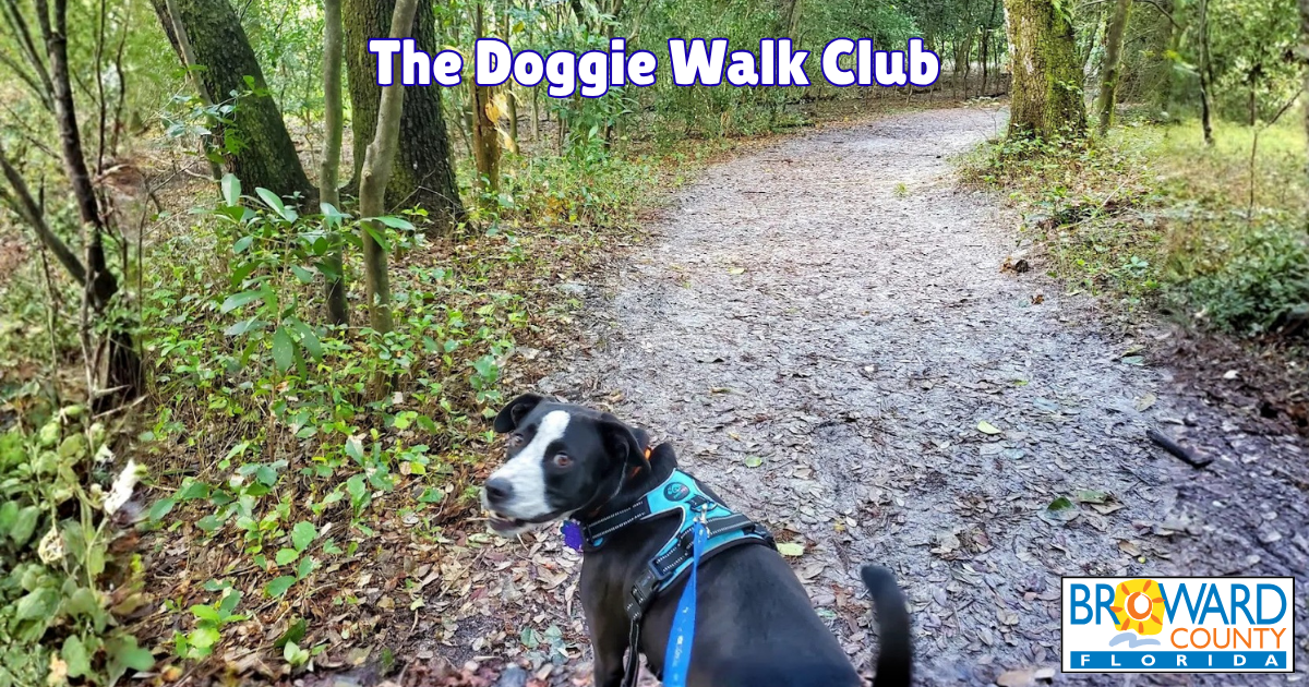 Nature Pack Walk
