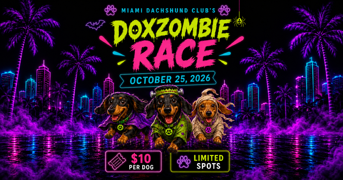DoxZombie Race 2026