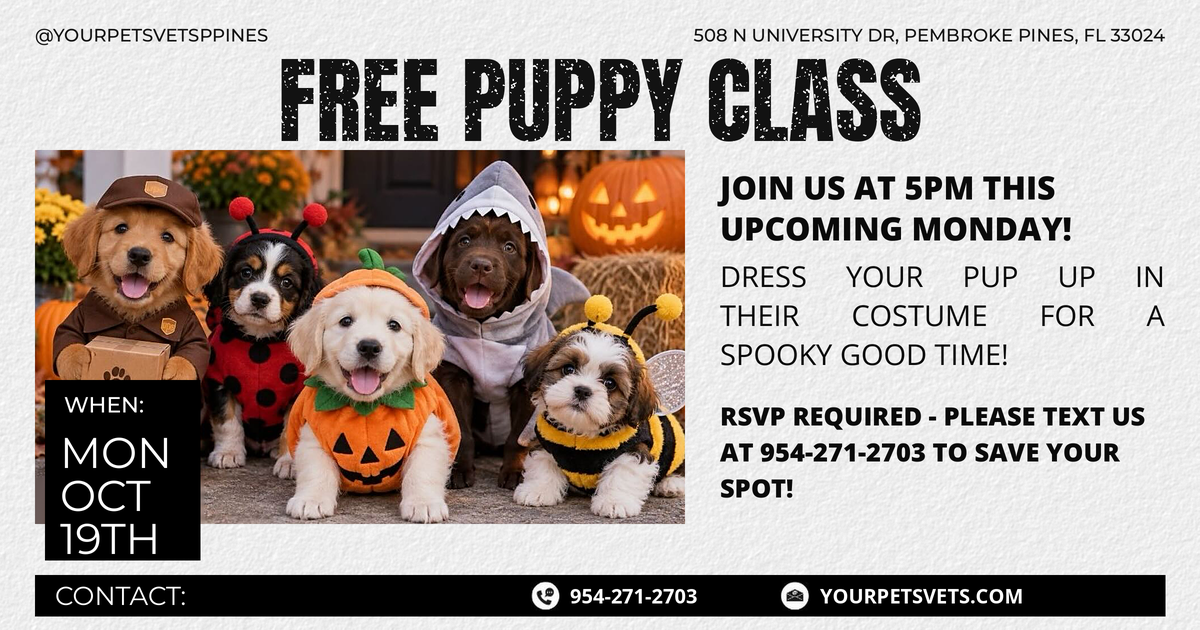 Free Halloween Puppy Class