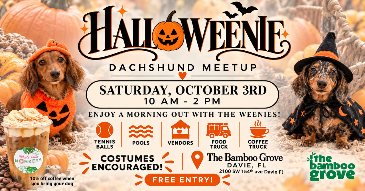 Halloweenie - Dachshund Meet Up