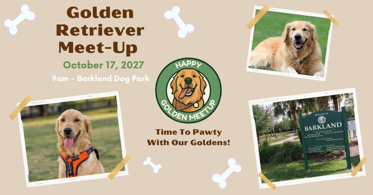 Happy Golden Meetup