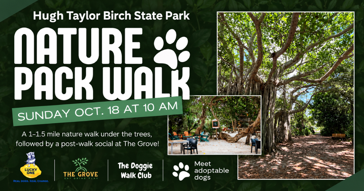 Nature Pack Walk at Hugh Taylor Birch State Park