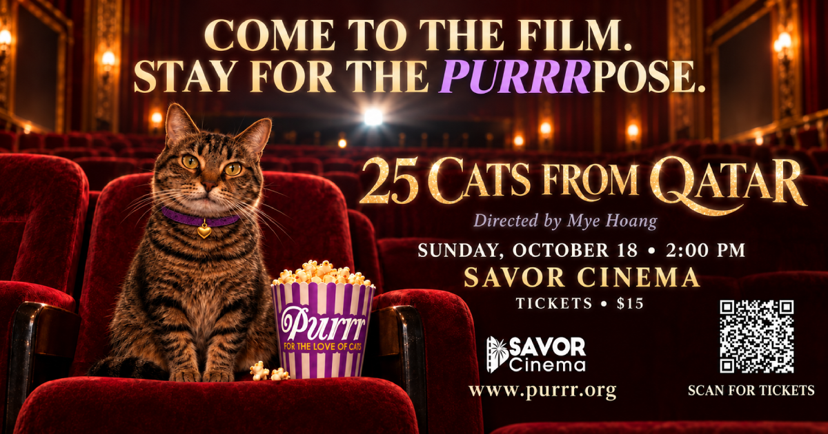 PURRR Adoption + Sanctuary to Host a Viewing of "25 Cats of Qatar" Film