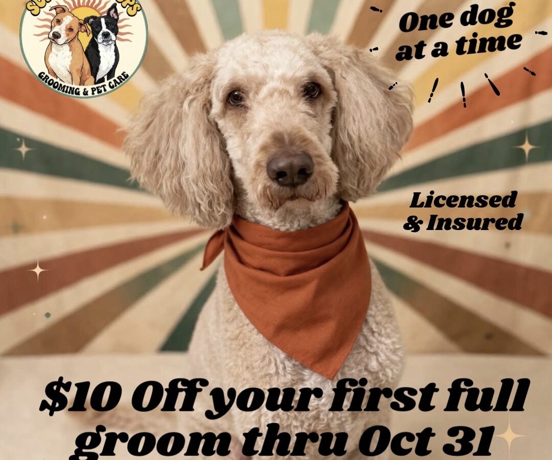 Sunnyside Pups - Dog Groomers - Cooper City