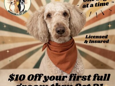 Sunnyside Pups - Dog Groomers - Cooper City