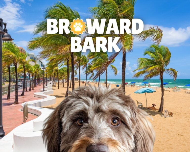 advertisebrowardbark - Broward Bark