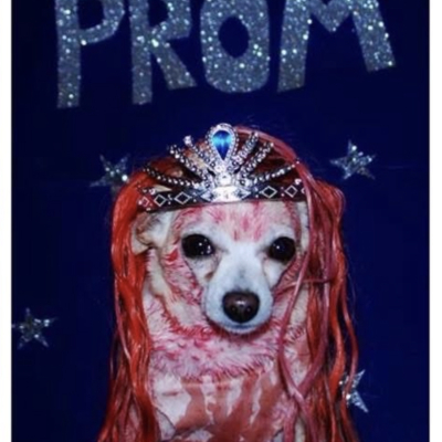 Duke - Broward Bark Photo Contest