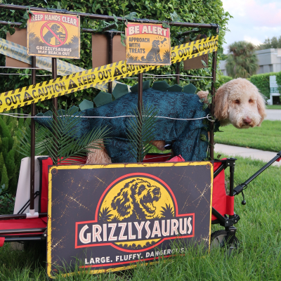 Grizzly - Broward Bark Photo Contest