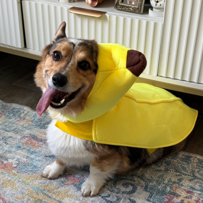 Higgins - Broward Bark Photo Contest