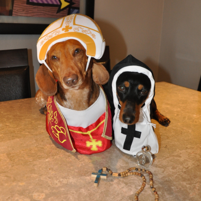 Maui & Lily - Broward Bark Photo Contest