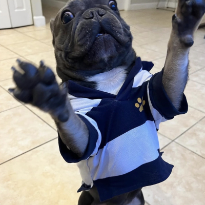 Pepper - Broward Bark Photo Contest