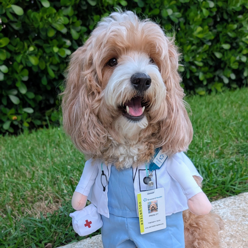 Presley from Coral Springs - Broward Bark Photo Contest