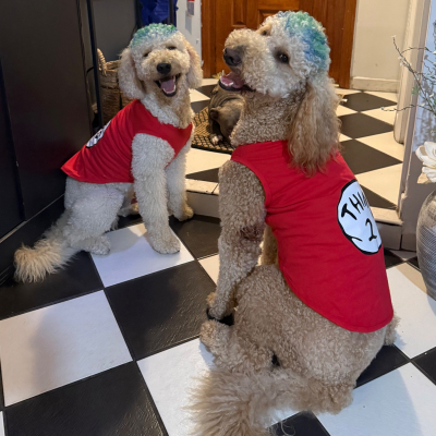 Sam & Oliver - Broward Bark Photo Contest