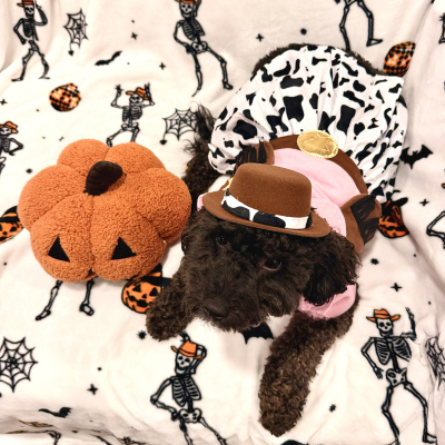 Zori - Broward Bark Photo Contest