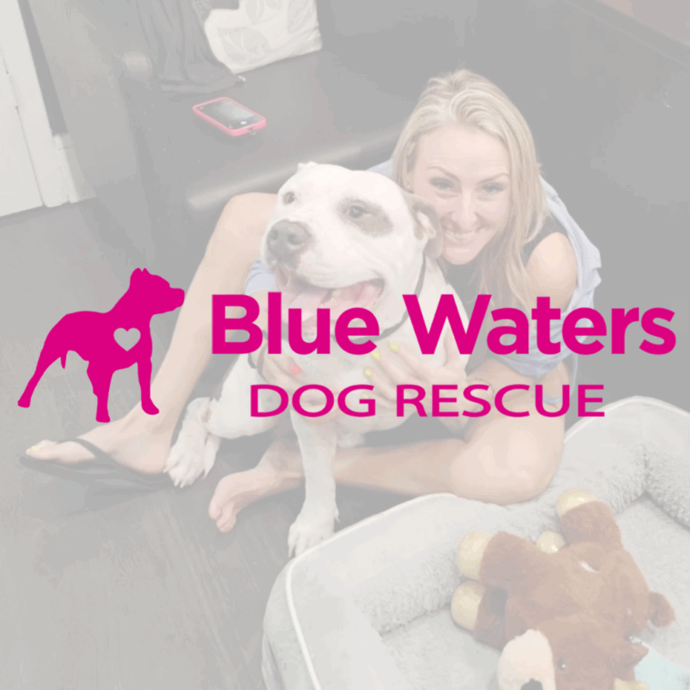 Blue Waters Dog Rescue