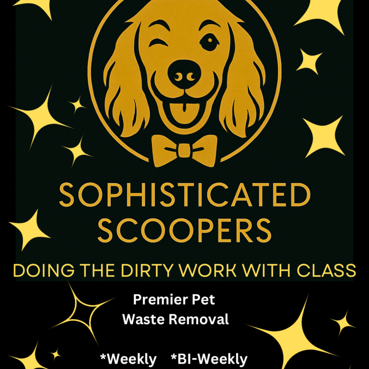 Sophisticated Scoopers