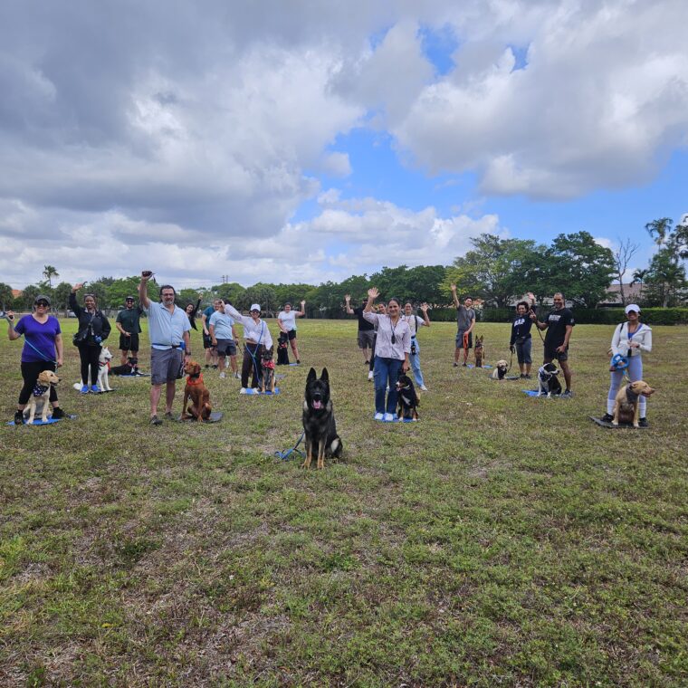 Welcome to the pack!