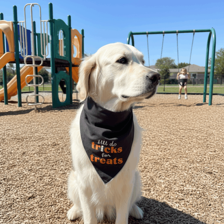 Really for Halloween! Really for Halloween!