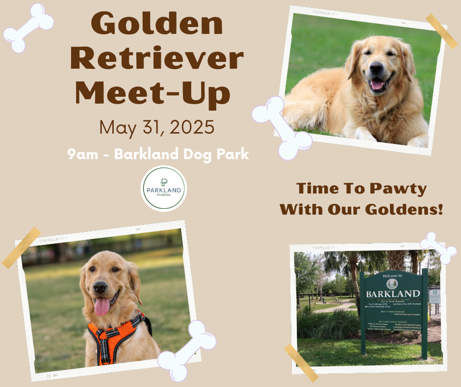 goldenmeetup - Broward Bark