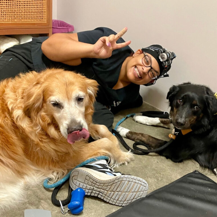 Healthy Smiles Pet Dental Spa - Ft. Lauderdale