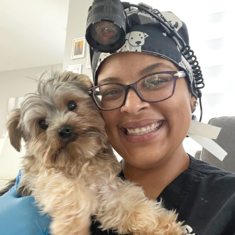 Healthy Smiles Pet Dental Spa - Plantation