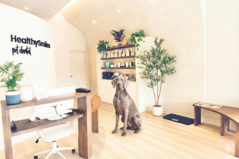 HealthySmiles Pet Dental