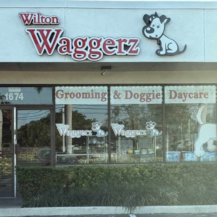 Your Pet's Best Friend Your Pet's Best Friend