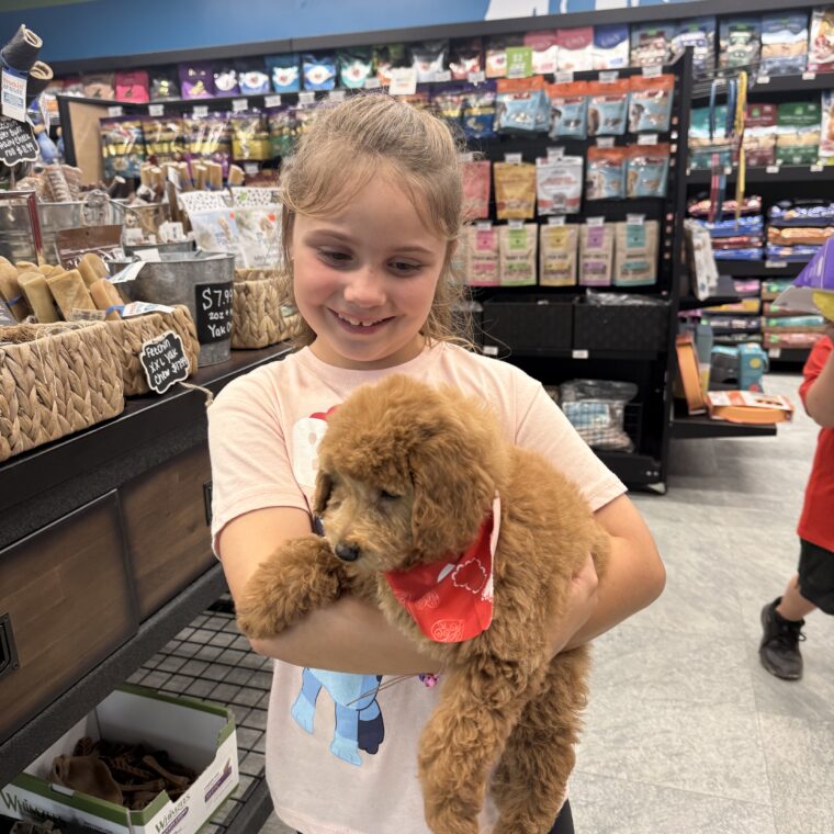 Pet Evolution - Cooper City