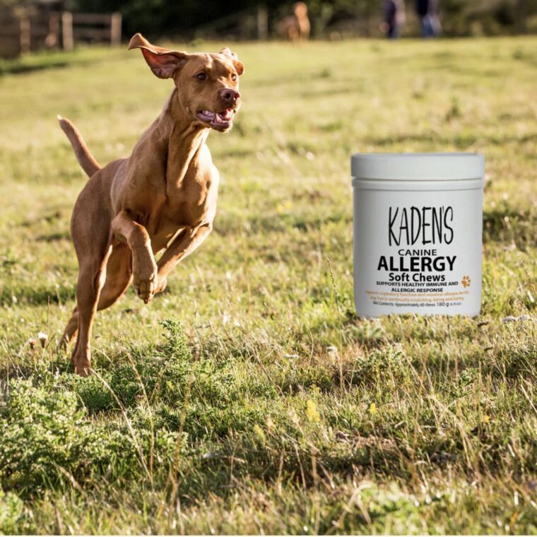 Kaden’s Paws Kaden’s Paws