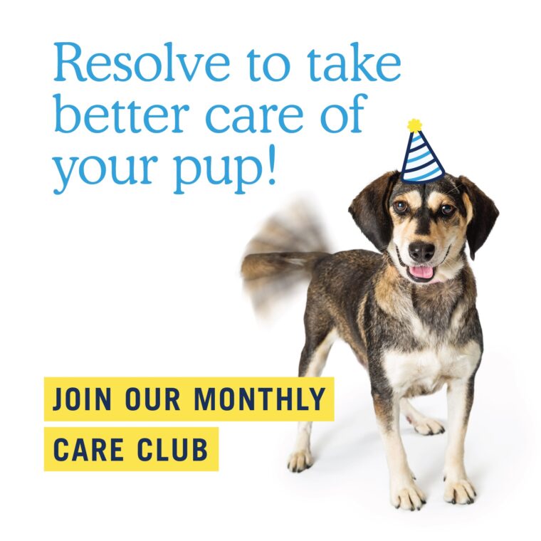 Scenthound – Ft. Lauderdale