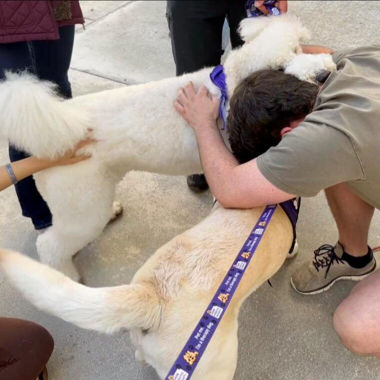 Canine Assisted Therapy Inc.