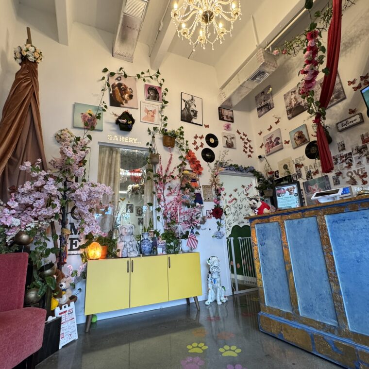 lulus pet spa reception 101725 - Broward Bark