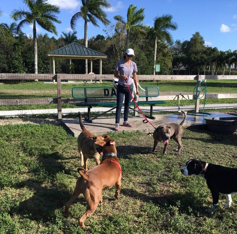 Peace Mound Dog Park