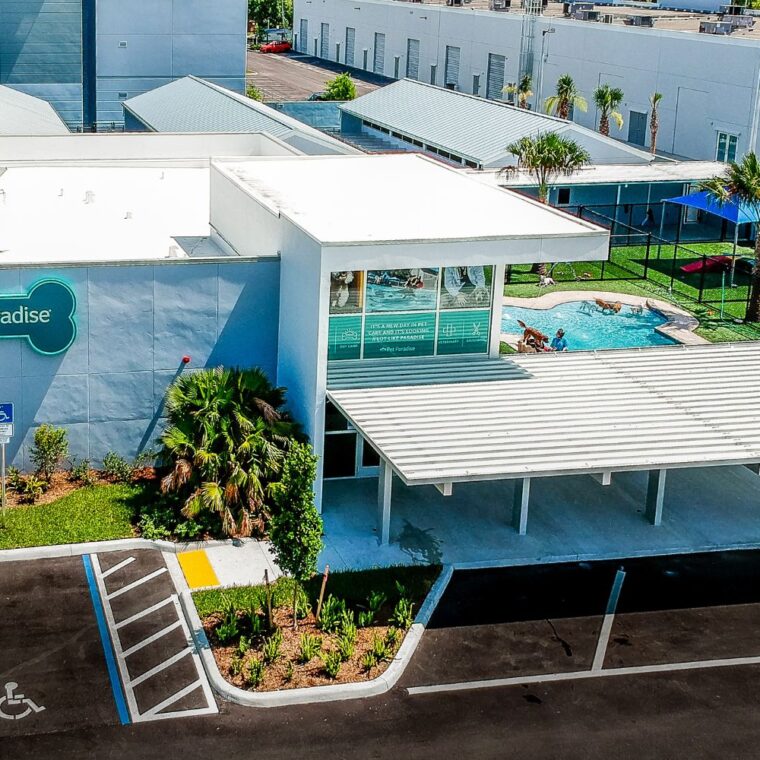 Pet Paradise – Coconut Creek