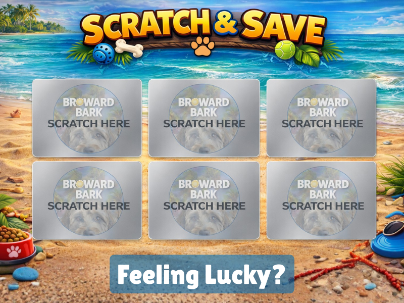 Scratch & Save