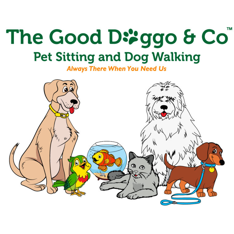Pet Sitting And Dog Walking