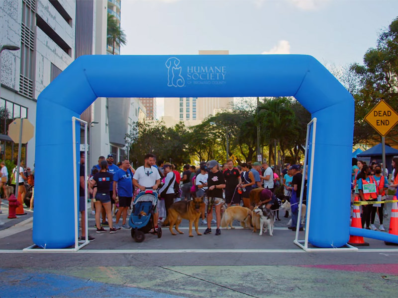 VCA Walk For The Animals February 3rd, 2024 Broward Bark